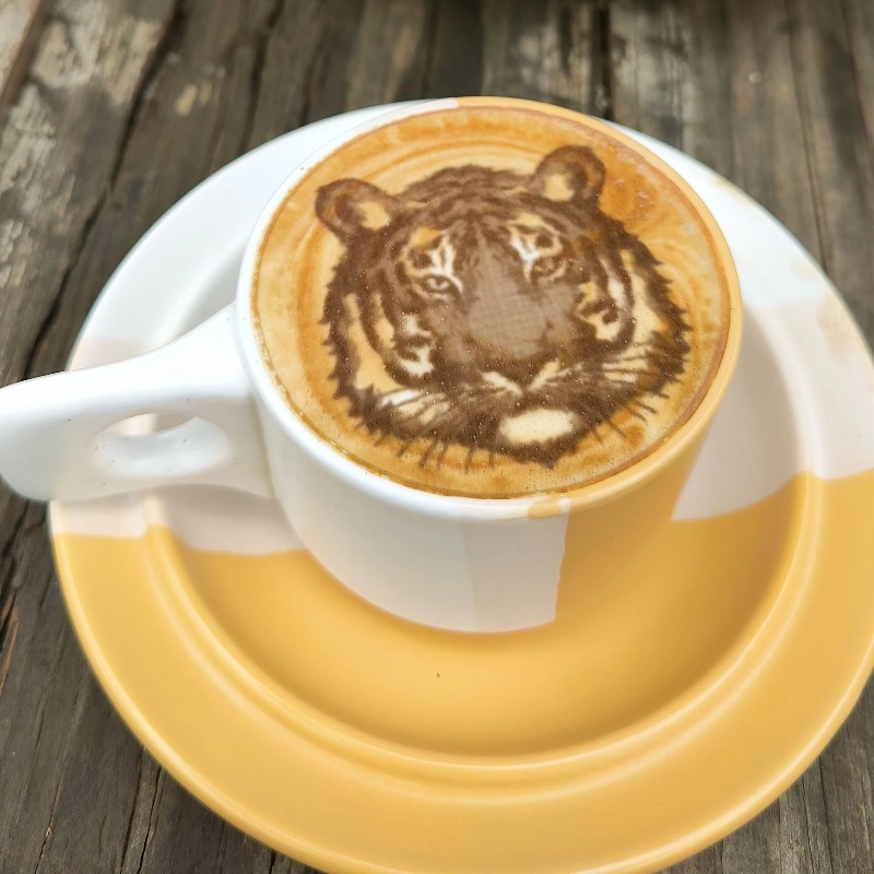 New Trend Commercial Restauran - Coffee Equipment And Supplies recension och pris